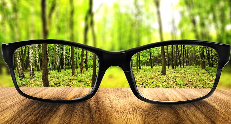 Clear forest in glasses on the background of blurred forest
